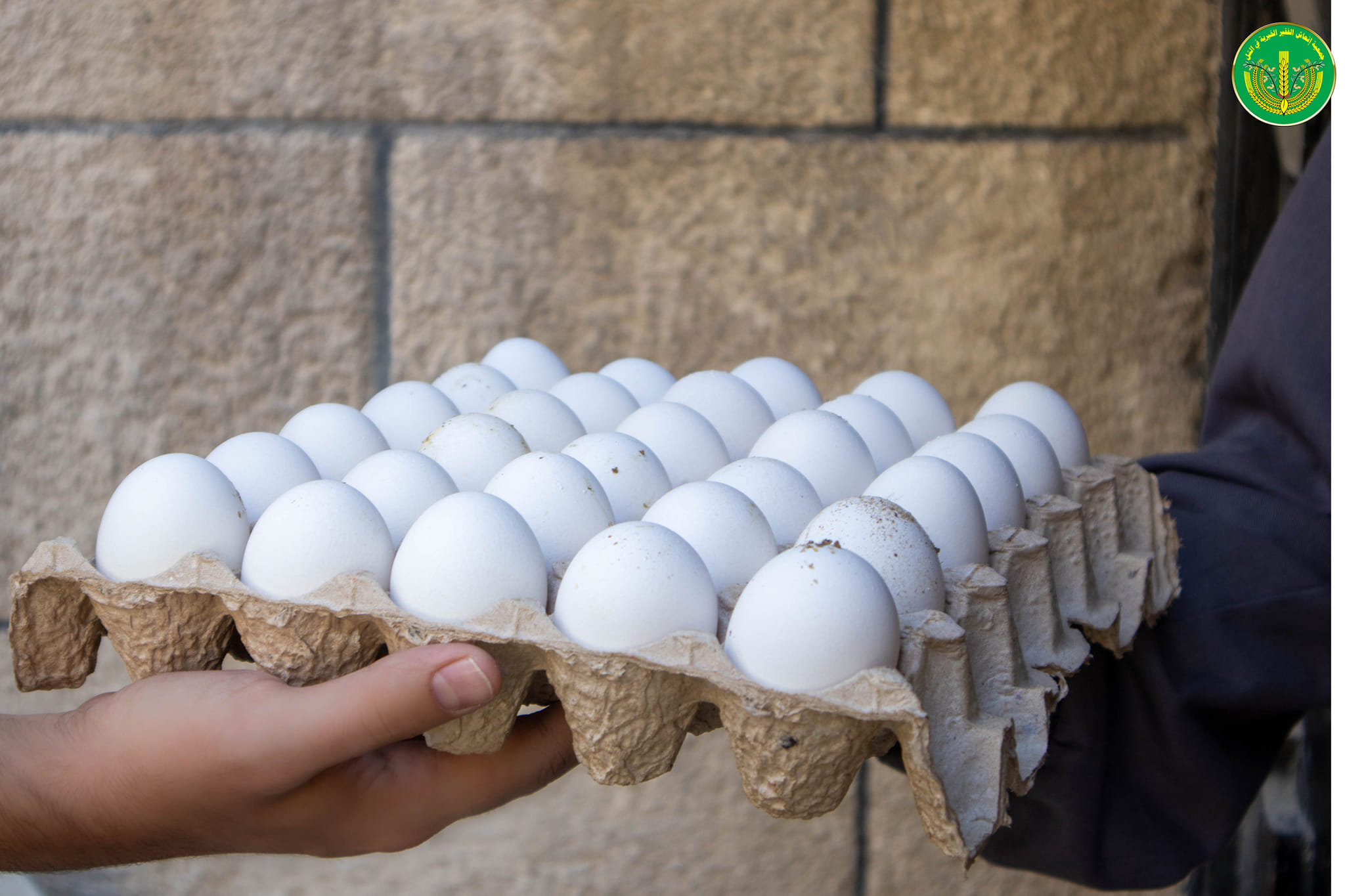 💚الانتهاء من توزيع المساعدات المالية والعينية لشهر 7 للمدرجين والأيتام في الجمعية